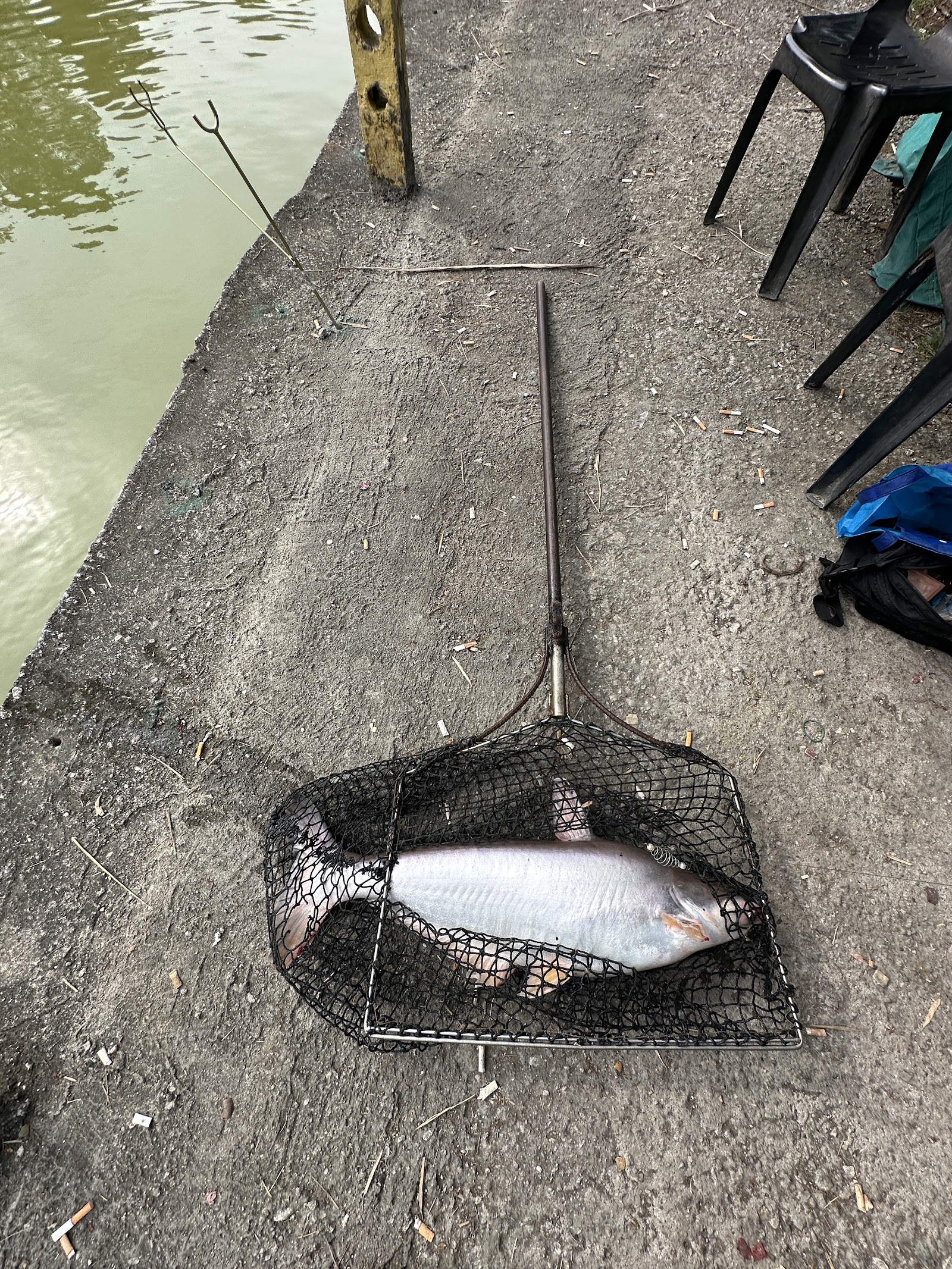 Kolam Pancing Down Hill, kolam pancing di Klang, Selangor (gambar 2)