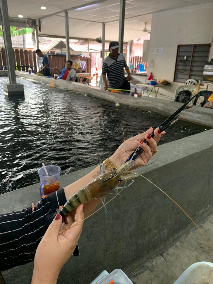 Kolam Pancing Udang Galah kg subang, kolam pancing di Selangor (gambar 3)