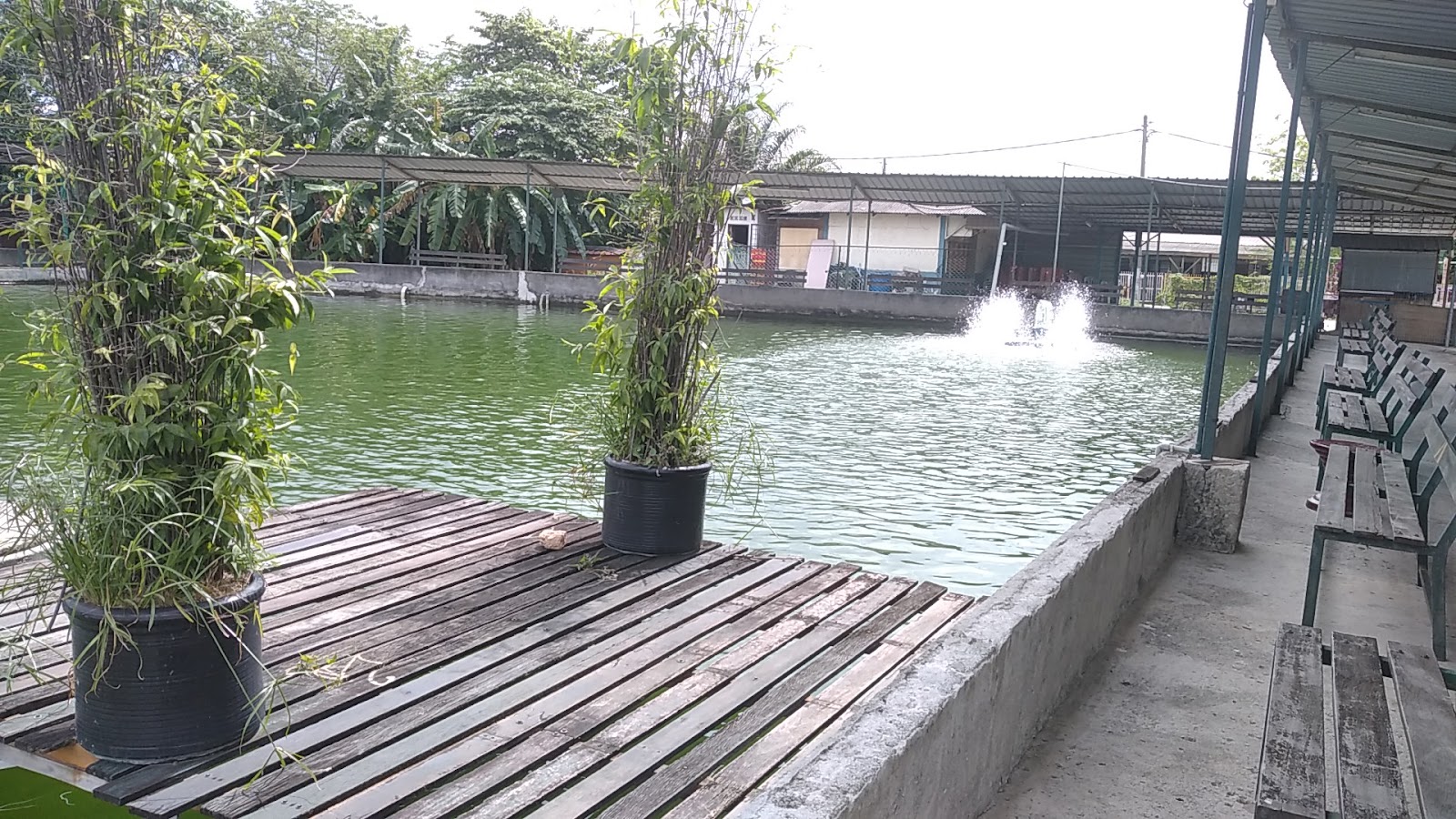 Kolam pancing Alam Jaya Fishing