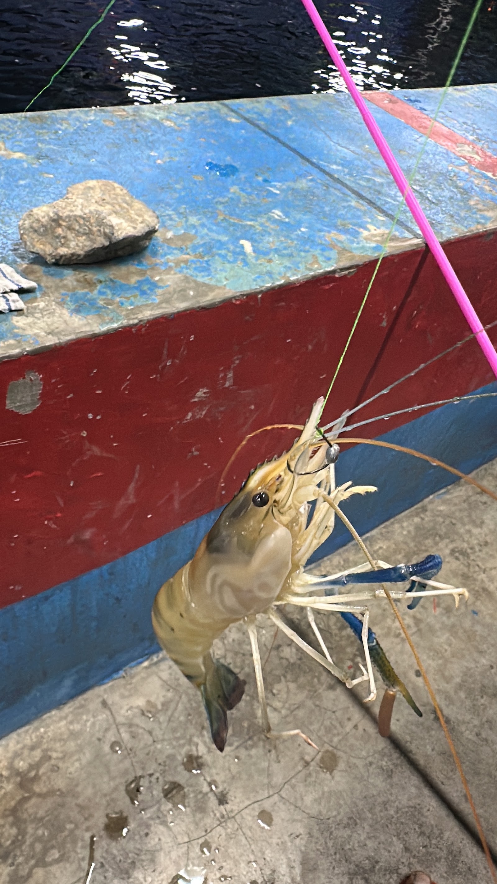 Kolam Pancing Udang Galah Sahabat, kolam pancing di Selangor (gambar 3)