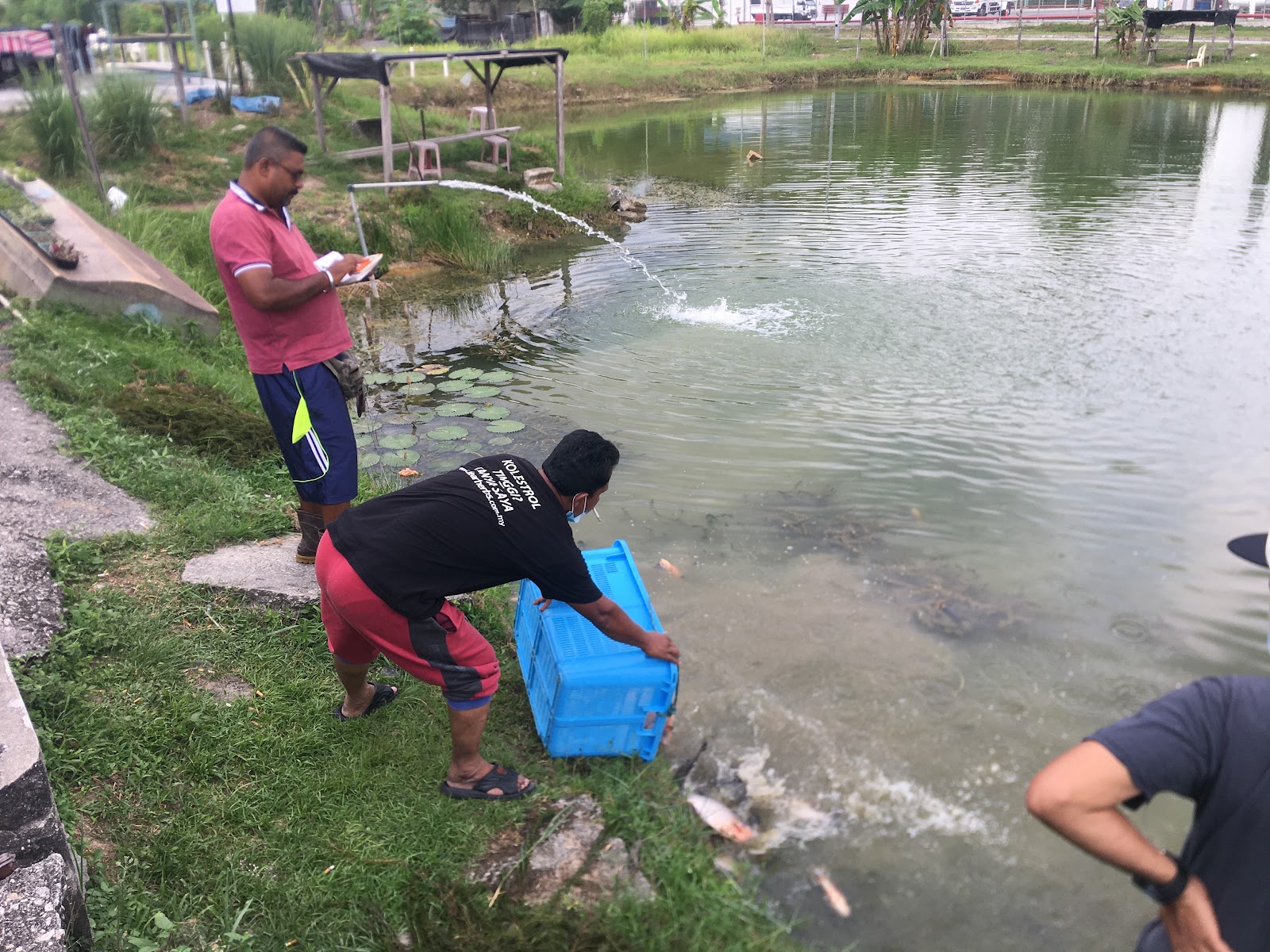 Kolam pancing (KPLJ) Lancong Jaya Fishing Pond