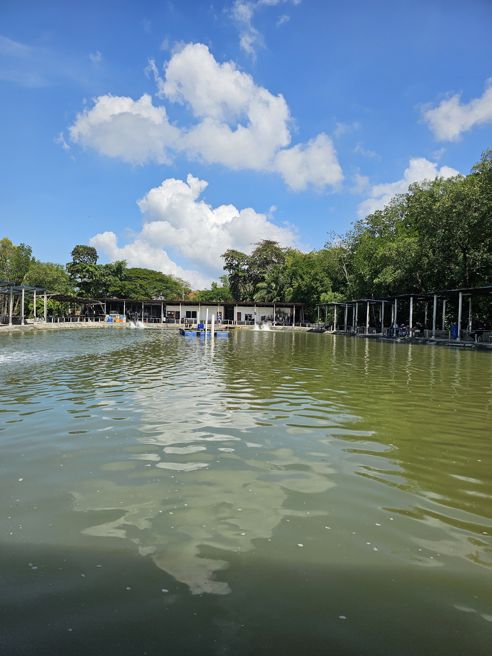 Kolam Sri Tanjung, kolam pancing di Pelabuhan Klang, Selangor (gambar 3)
