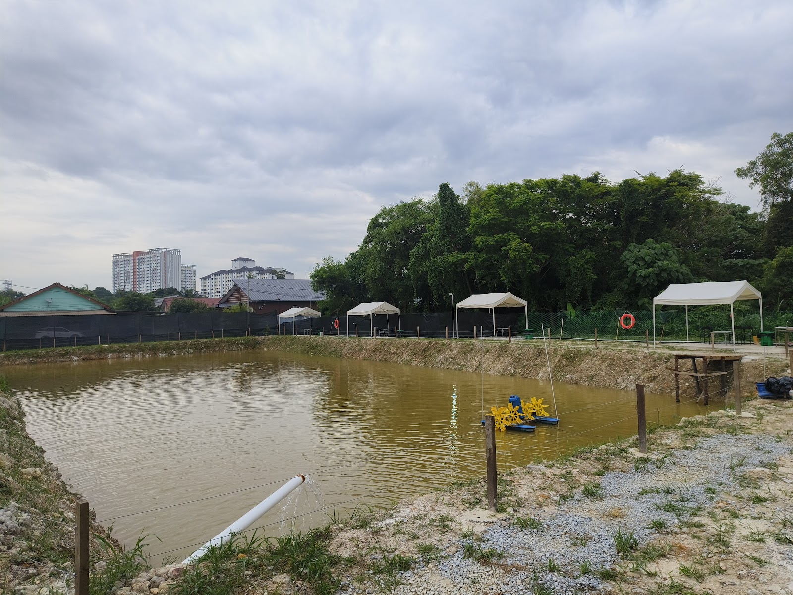 SERI AMAN FISHING PARADISE, kolam pancing di Puchong, Selangor (gambar 3)