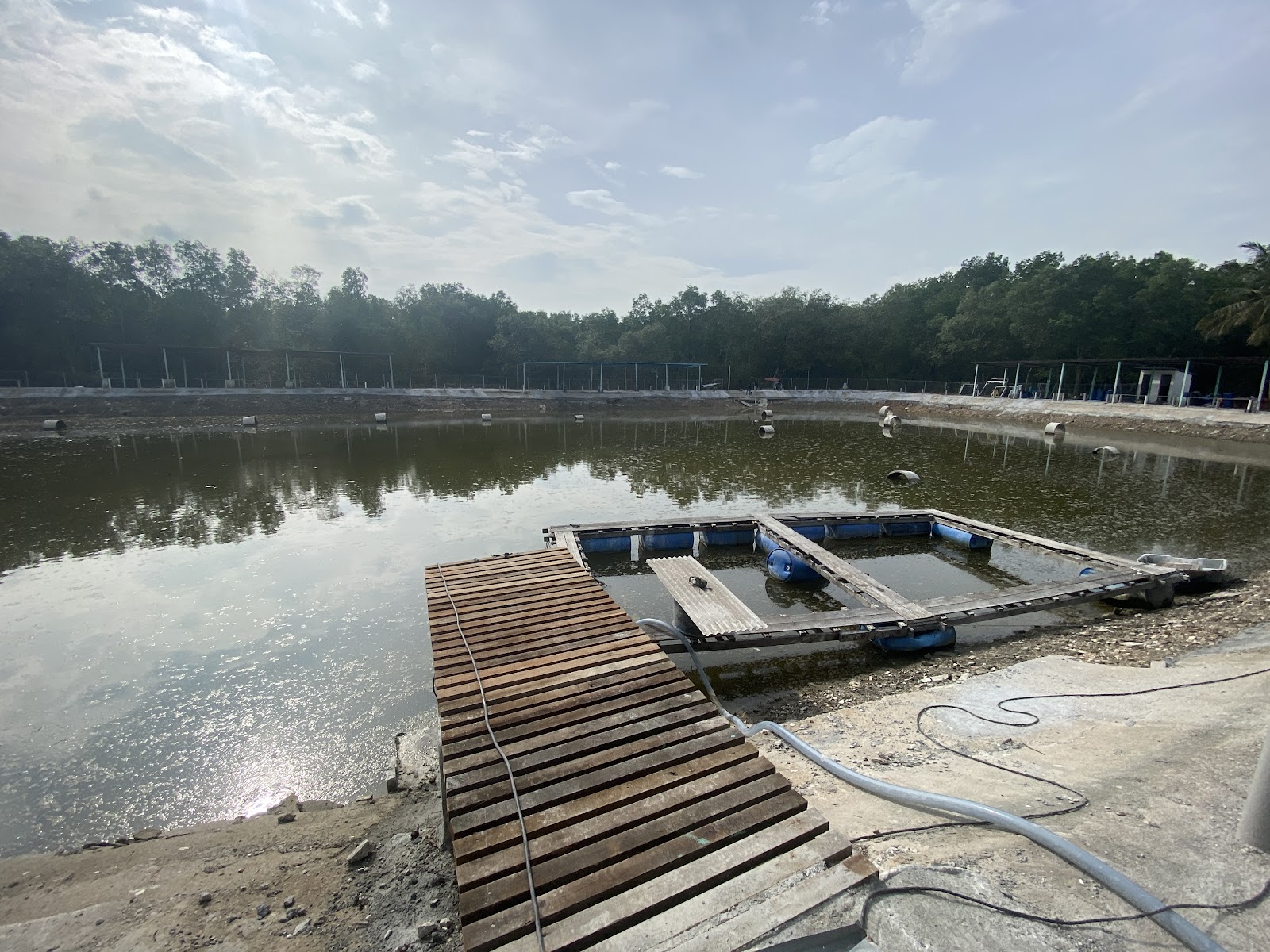 Kolam pancing new sementa, kolam pancing di Kapar, Selangor (gambar 3)