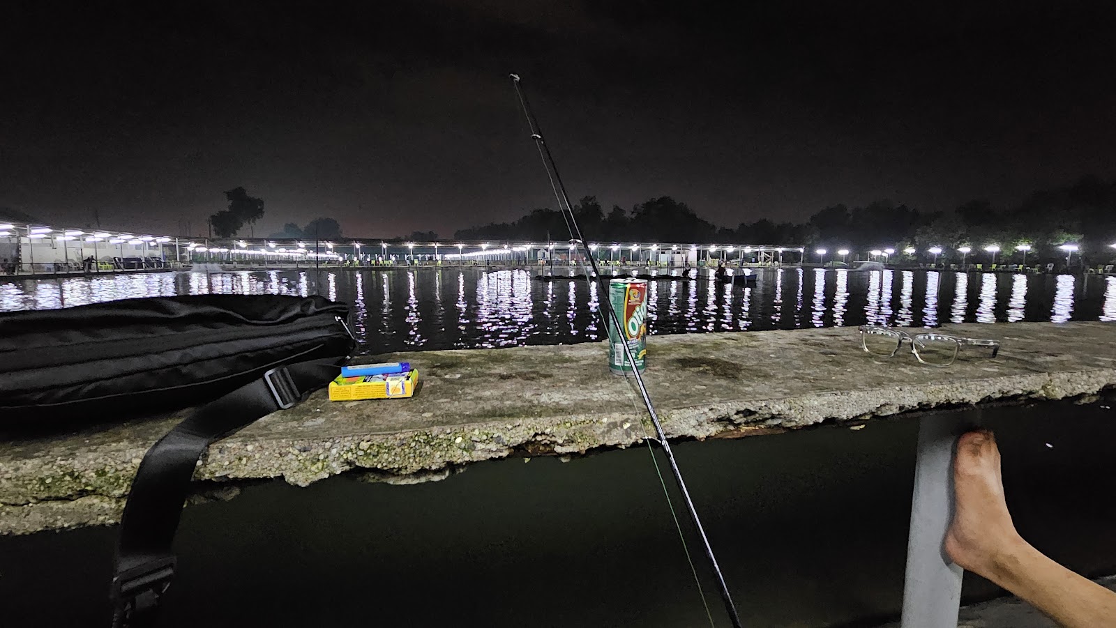 Sealion Fishing Park KOLAM 3A(AAA), kolam pancing di Selangor (gambar 3)