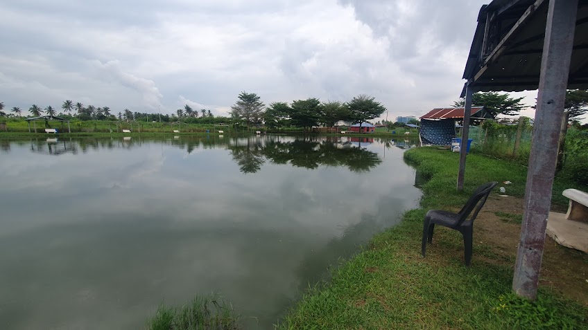 Kolam pancing KOLAM PANCING HAKEM ARENA (Tasik Sementa)