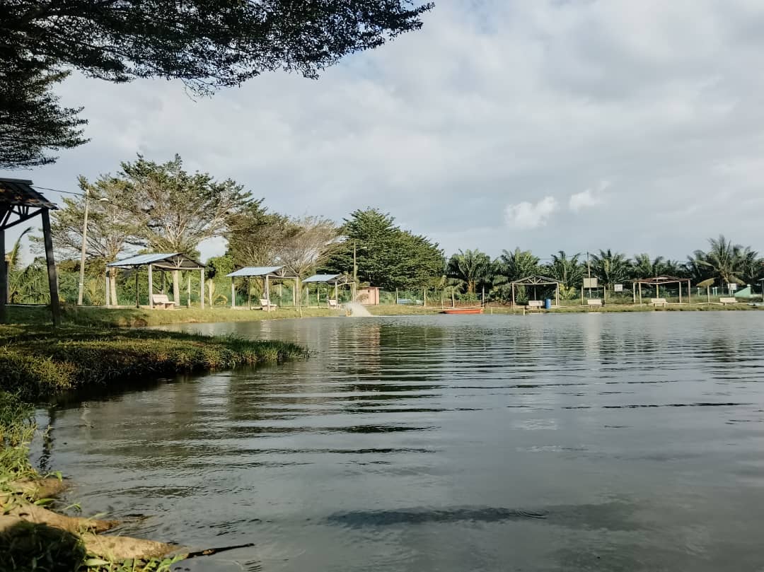 KOLAM PANCING HAKEM ARENA (Tasik Sementa), kolam pancing di Selangor (gambar 2)