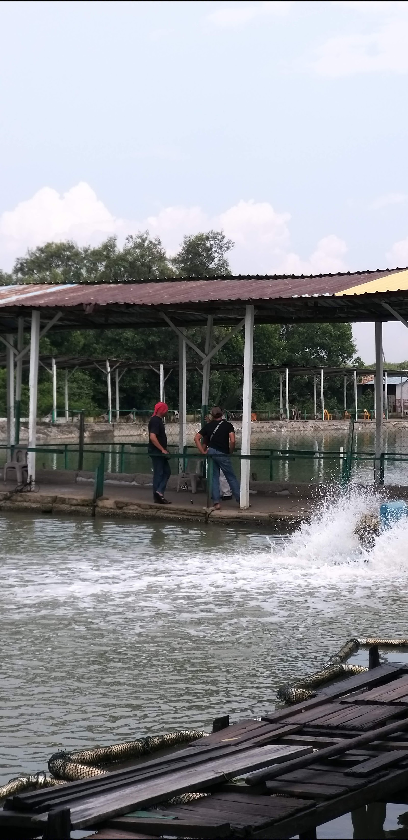 Sea Lion Kelang, kolam pancing di Selangor (gambar 3)