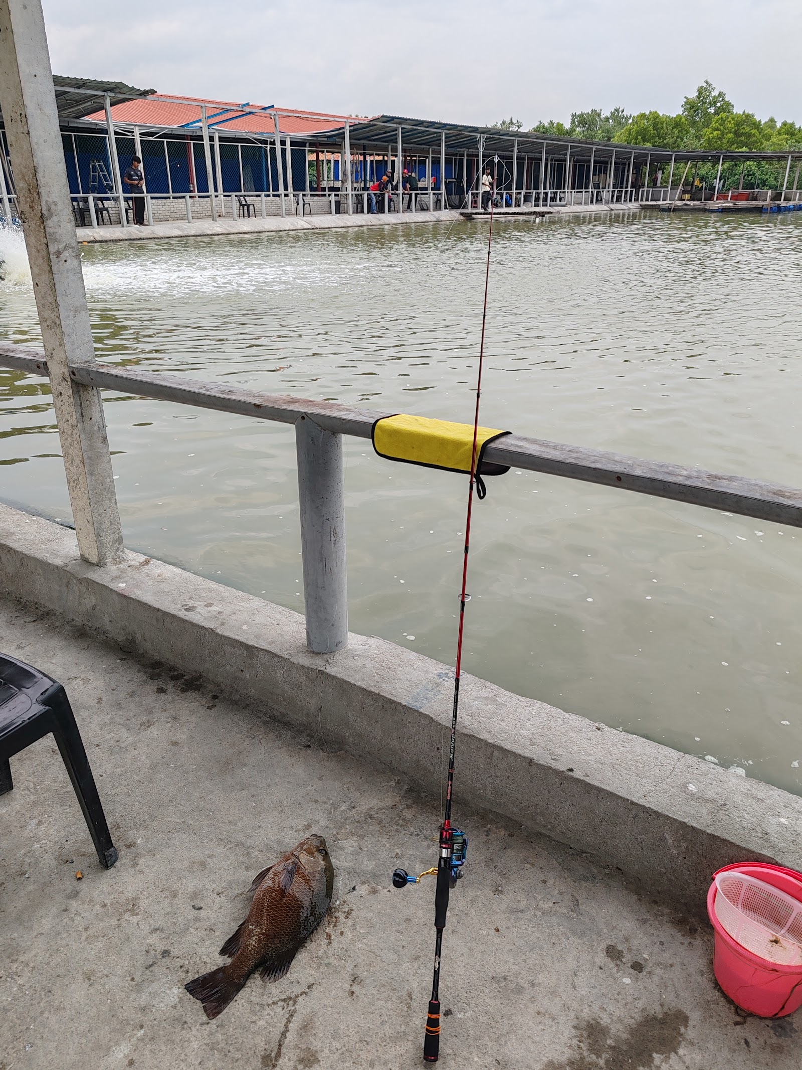 Kolam Pancing DHA 2, kolam pancing di Selangor (gambar 2)