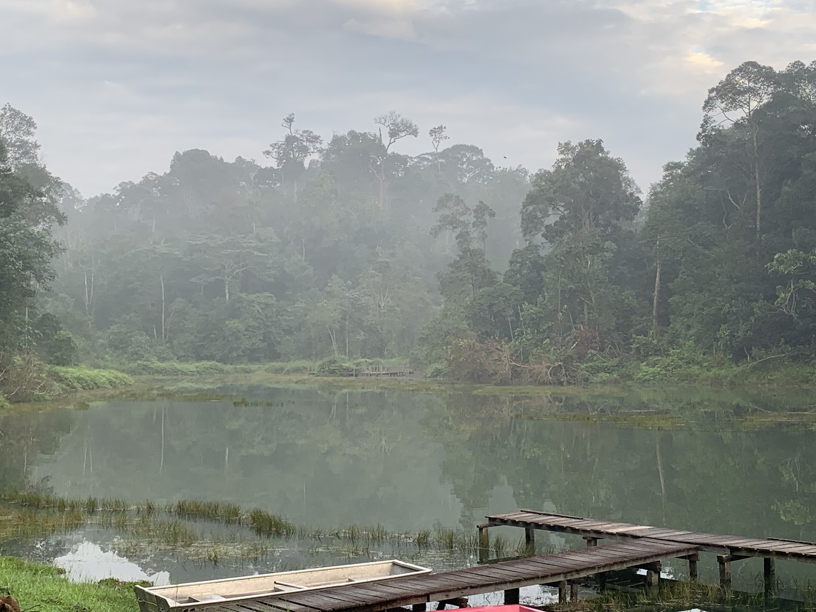 Sungai Air Kuning Dam Taman Botani Negara Shah Alam, kolam pancing di Shah Alam, Selangor (gambar 2)