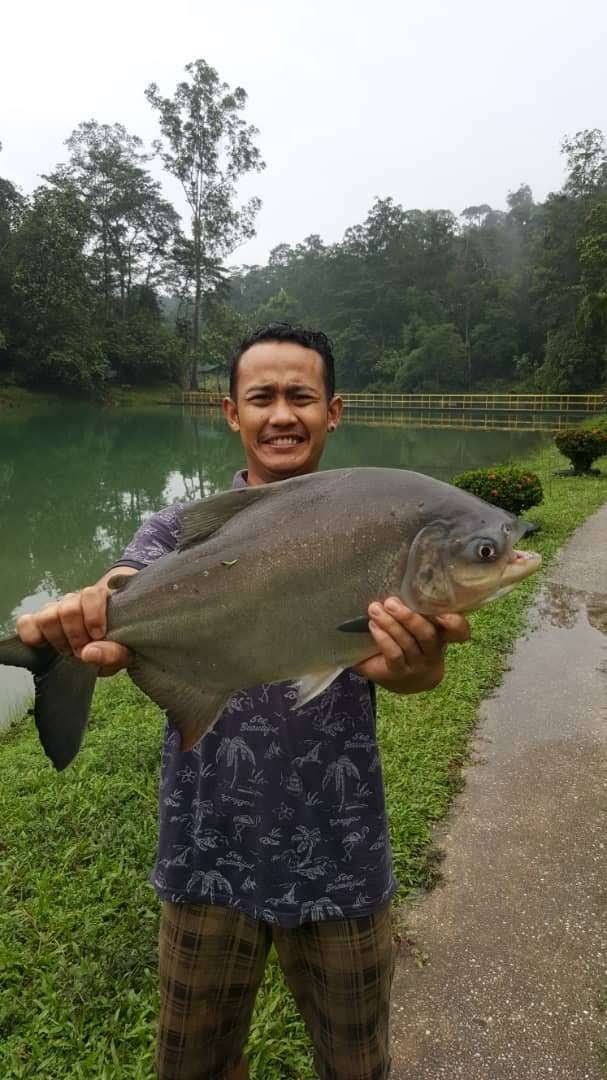 Sungai Air Kuning Dam Taman Botani Negara Shah Alam, kolam pancing di Shah Alam, Selangor (gambar 3)