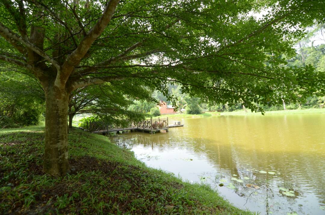 Danau Perikanan TBNSA, kolam pancing di Shah Alam, Selangor (gambar 3)