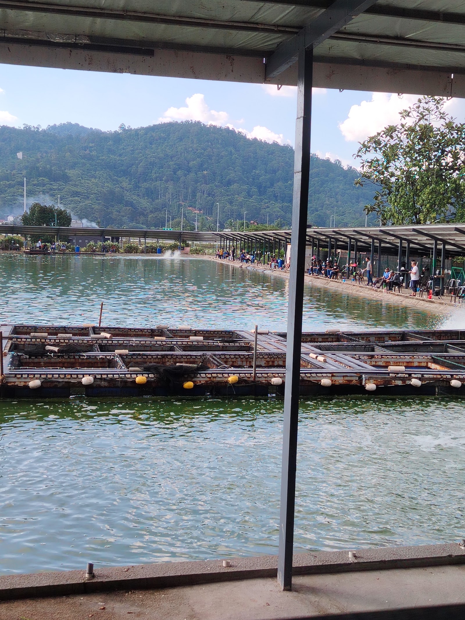 Kolam Pancing MV Air Masin, kolam pancing di Hulu Langat, Selangor (gambar 3)