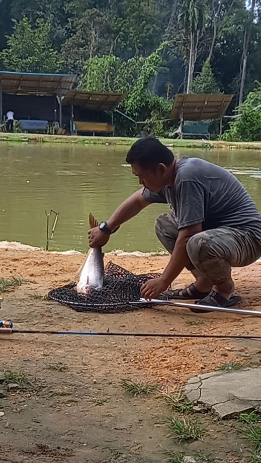 Kolam Pancing Ruskijang Fishing Park, kolam pancing di Ampang Jaya, Selangor (gambar 3)