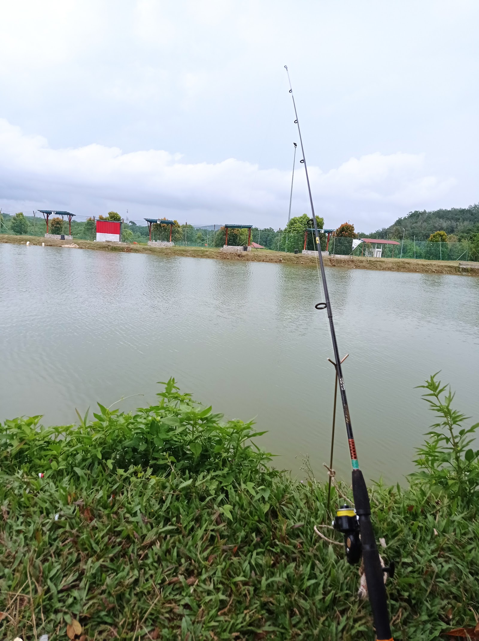 Kolam Aroma Pinggiran Putrajaya, kolam pancing di Dengkil, Selangor (gambar 2)