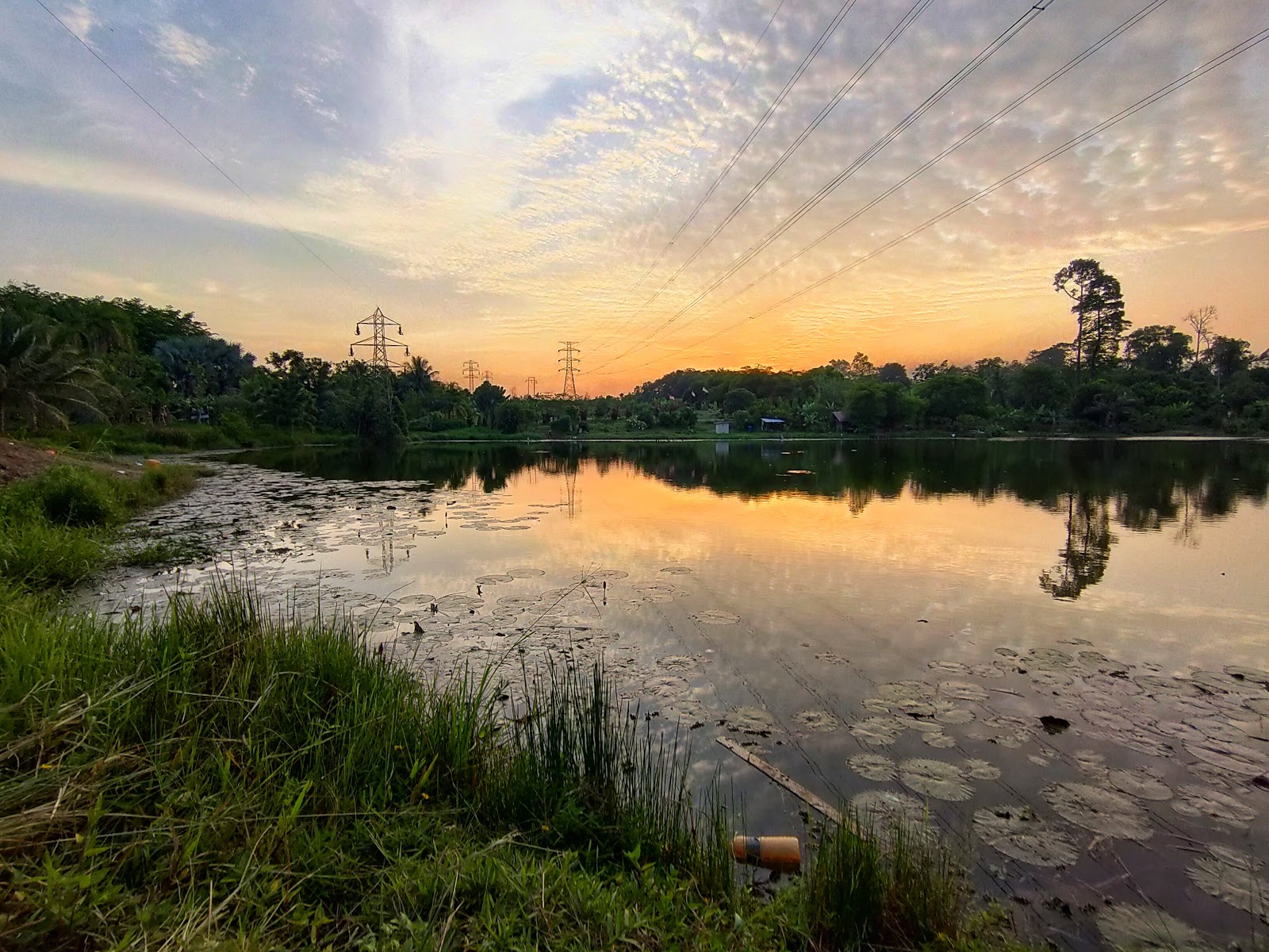 Kolam pancing Wet Land Fishing Spot