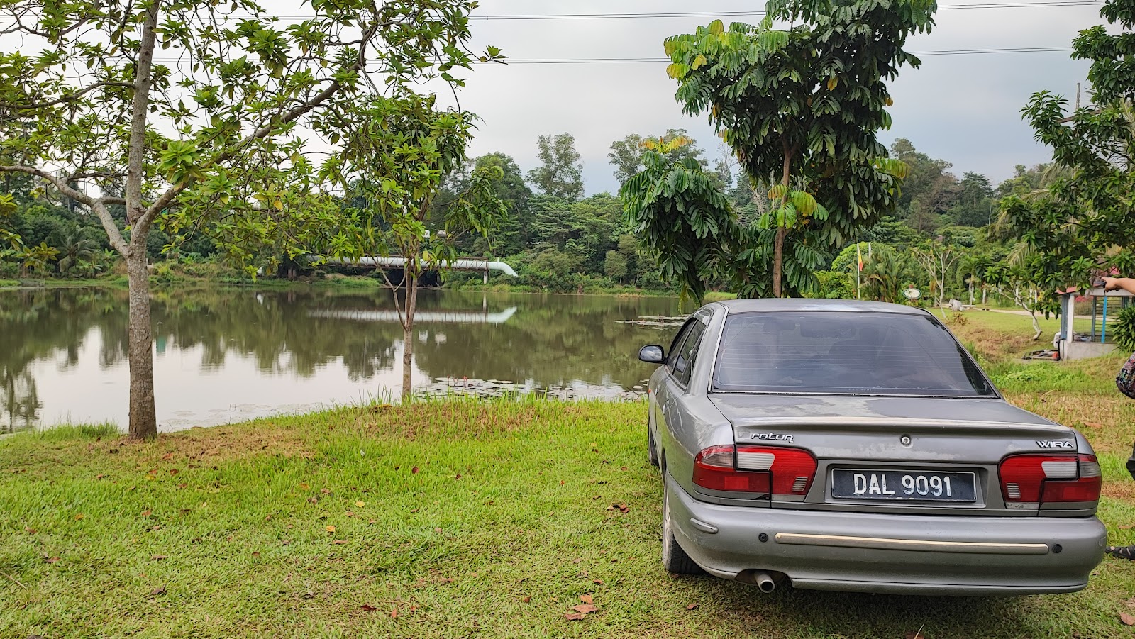 Wet Land Fishing Spot, kolam pancing di Shah Alam, Selangor (gambar 2)
