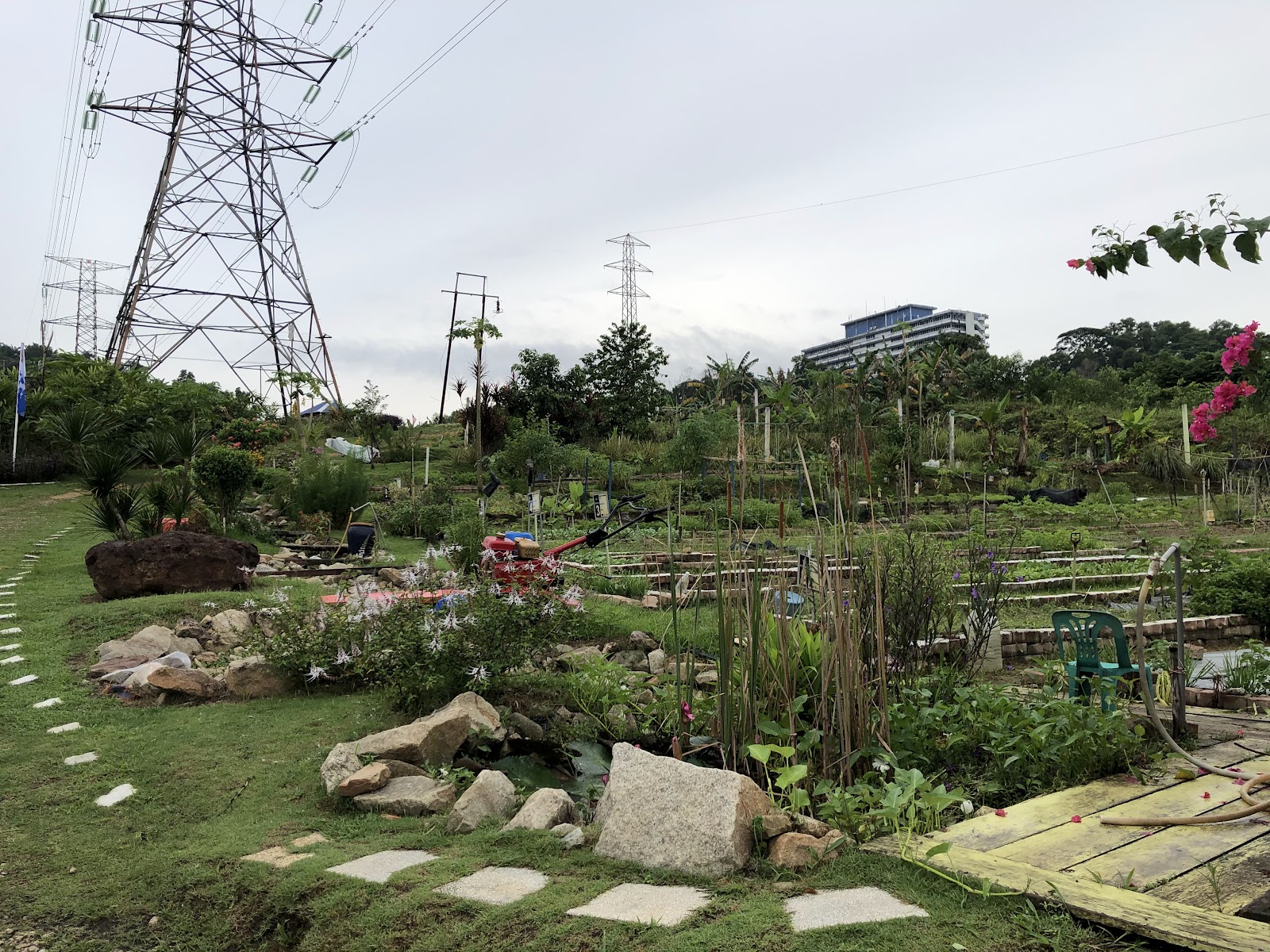 Wet Land Fishing Spot, kolam pancing di Shah Alam, Selangor (gambar 3)
