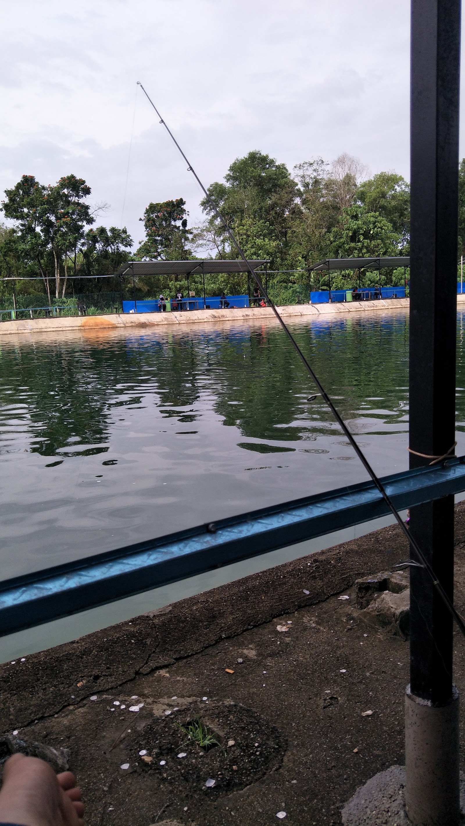 AQUARIQ FISHING PARADISE, kolam pancing di Rawang, Selangor (gambar 2)