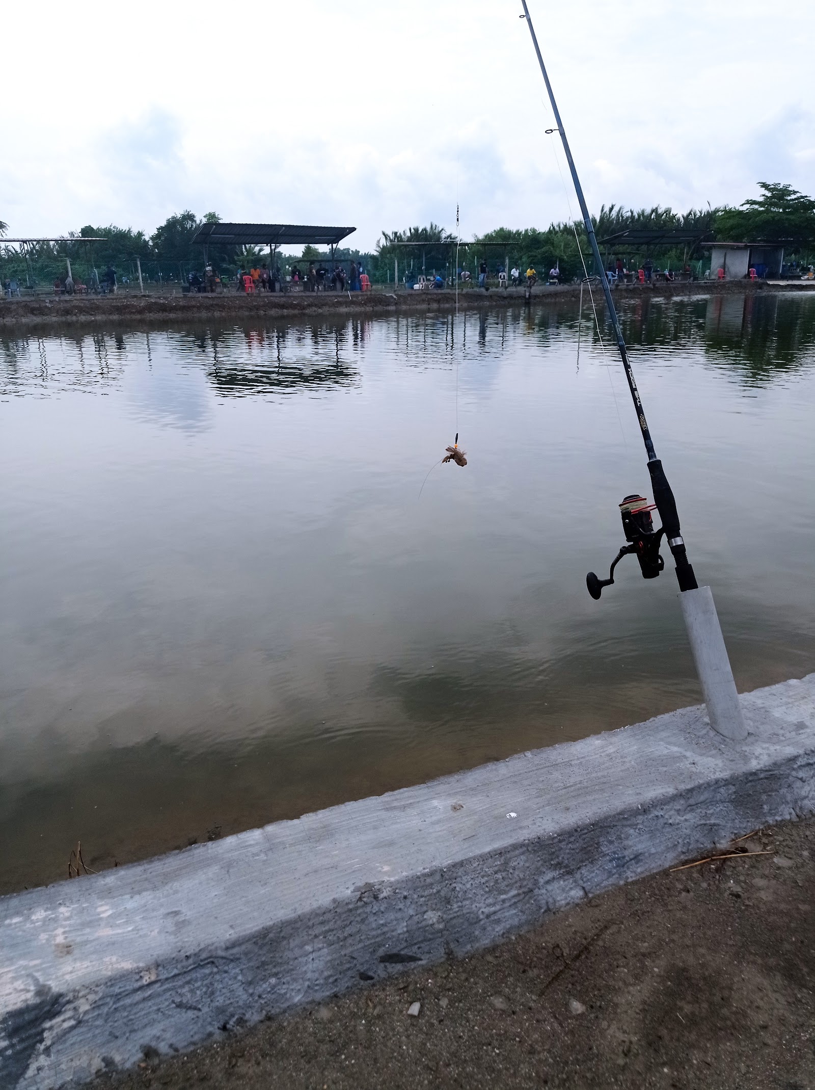KOLAM 99 Banting (JUGRA), kolam pancing di Banting, Selangor (gambar 3)