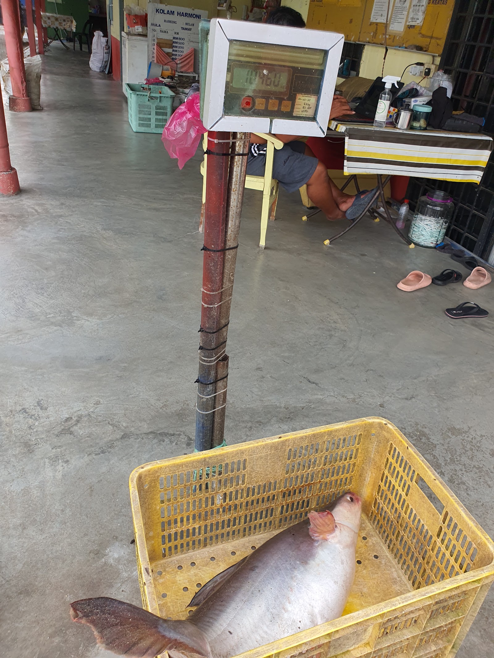 Kolam Mancing Harmoni, kolam pancing di Puchong, Selangor (gambar 2)
