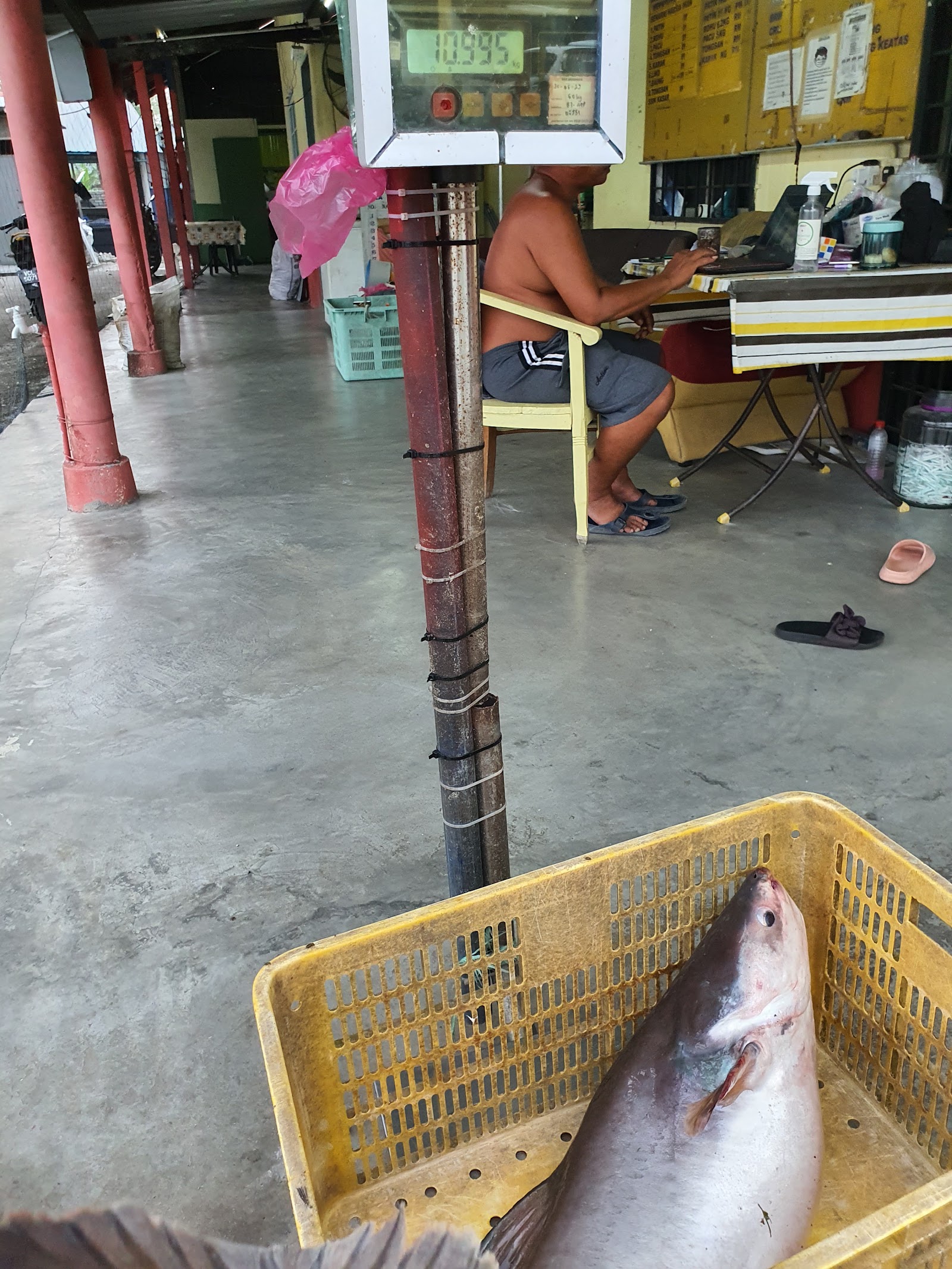 Kolam Mancing Harmoni, kolam pancing di Puchong, Selangor (gambar 3)