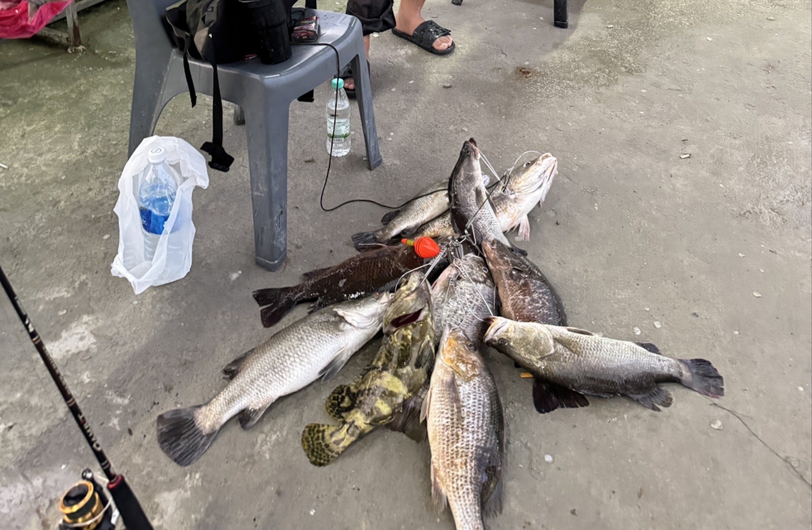 KAK NGAH SPORT FISHING, kolam pancing di Hulu Langat, Selangor (gambar 3)