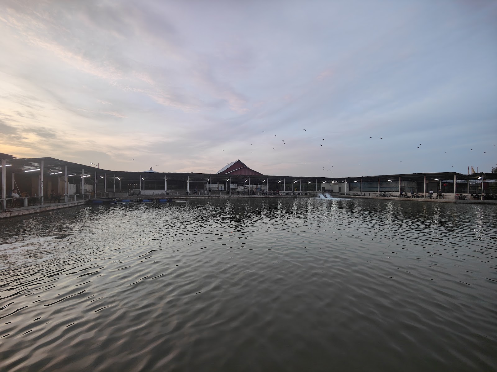 Kolam pancing Kolam Memancing Sealion ABC
