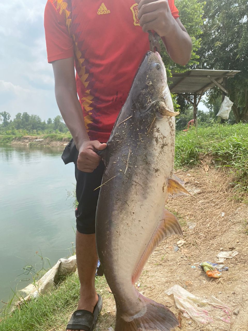 KOK Fishing Kolam A ( WL ), kolam pancing di Malaysia (gambar 2)