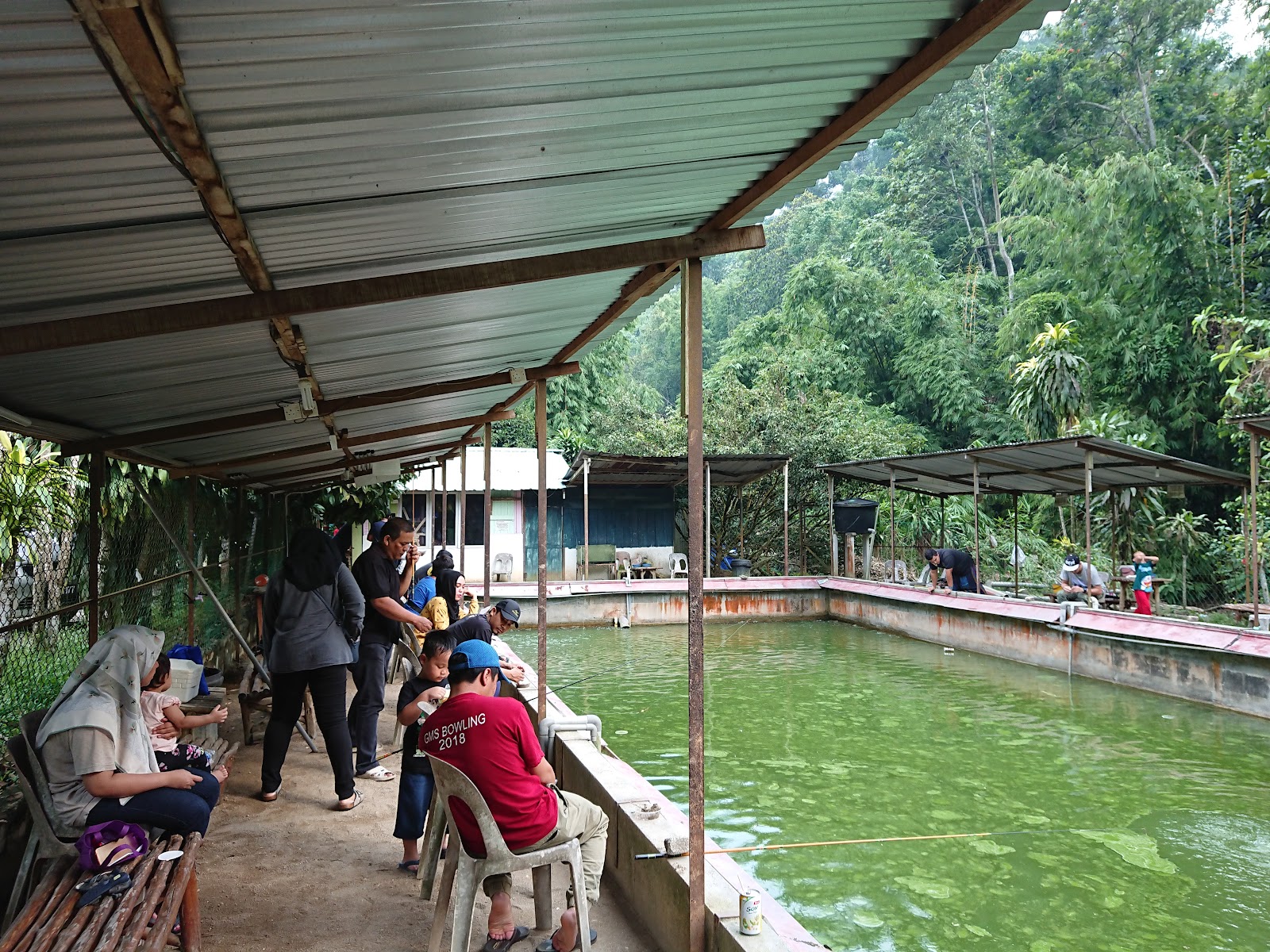 Kolam pancing Kolam Pancing Udang Galah Noramzah