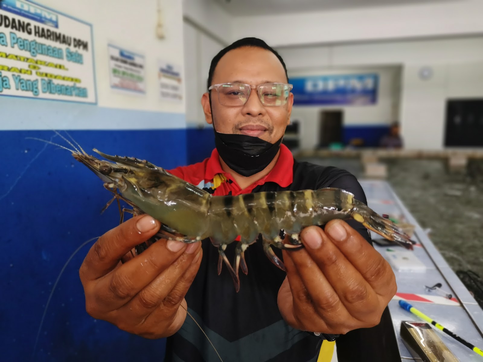 Kolam pancing Kolam Udang Harimau DPM