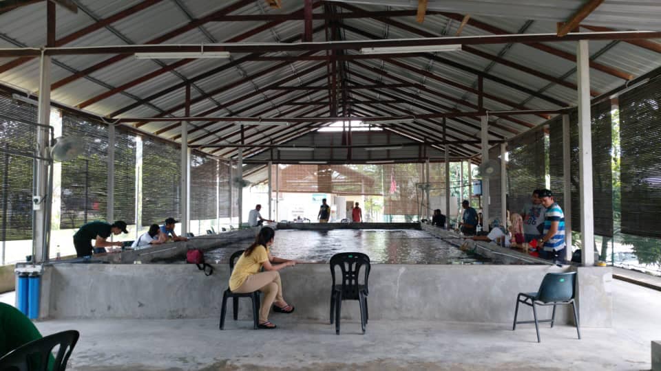 Kolam pancing Kolam Pancing Udang RIINFA Hulu Langat