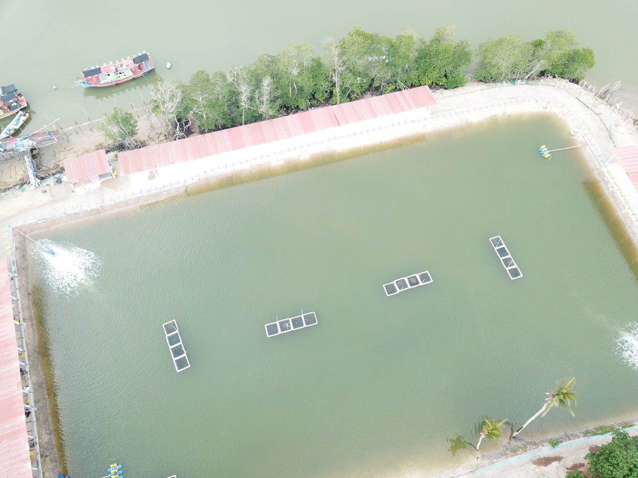 Kolam Pancing Alor Pak Bang, kolam pancing di Marang, Terengganu (gambar 3)