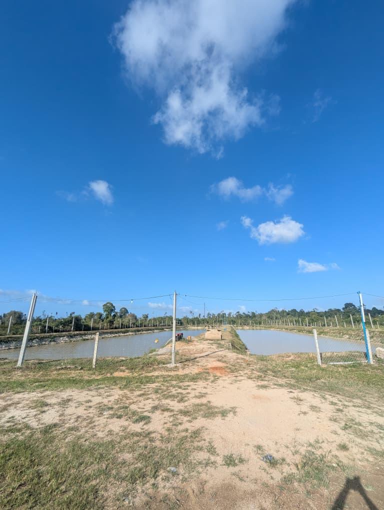 Kolam Memancing Bahagia fishing pond