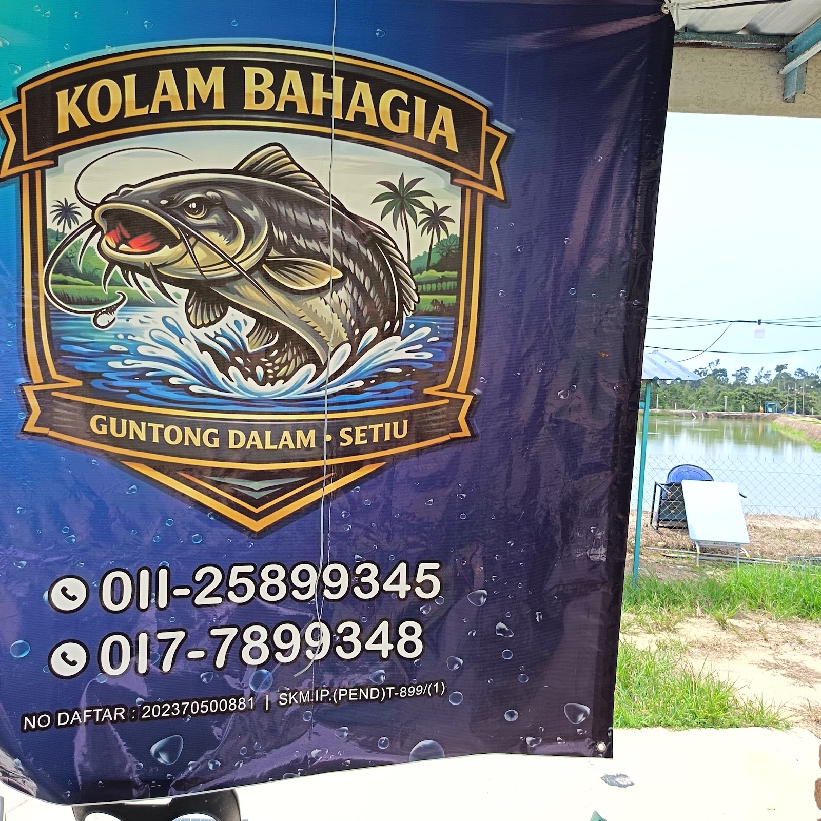 Kolam Memancing Bahagia, fishing pond in Permaisuri, Terengganu (photo 2)