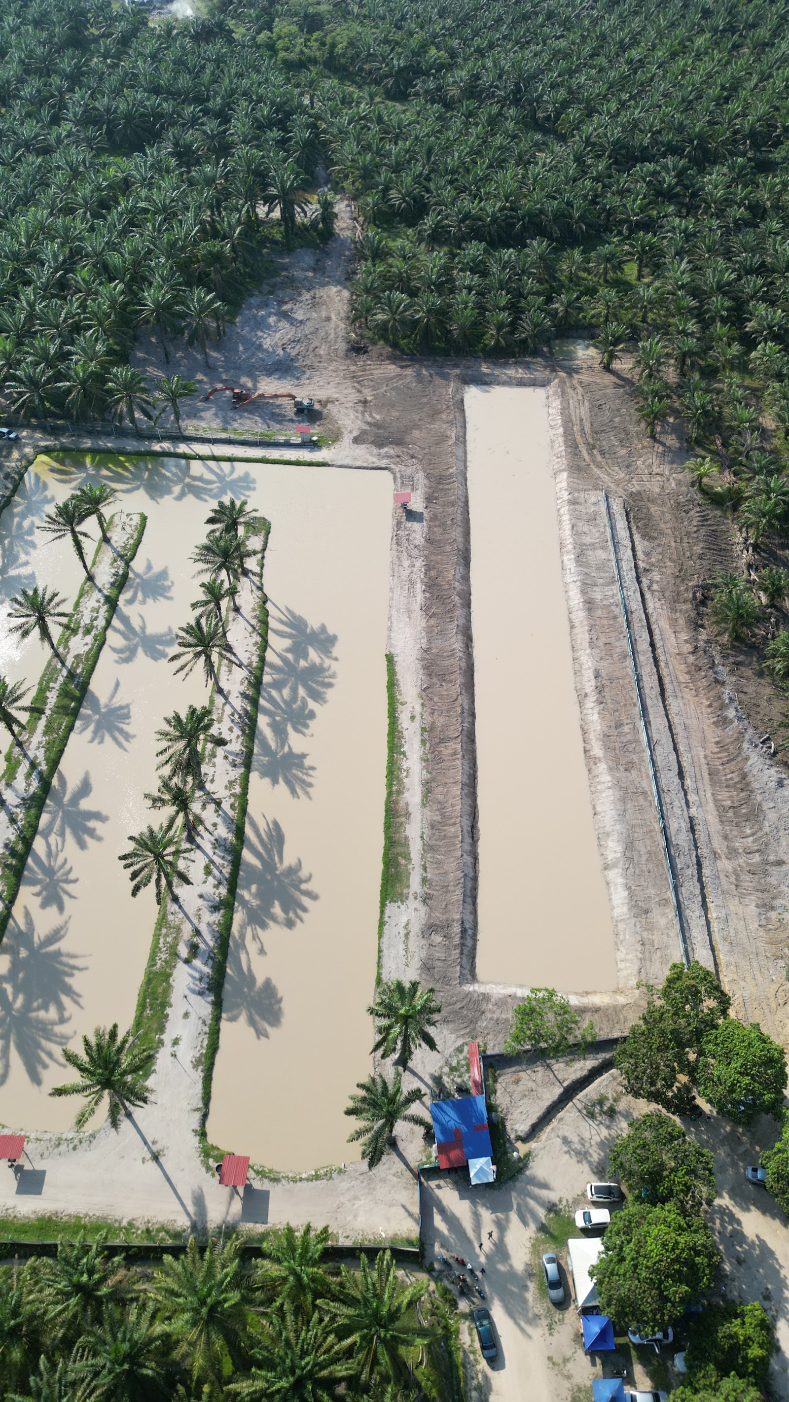 Kolam pancing Kolam joran beranak.JB FISHING