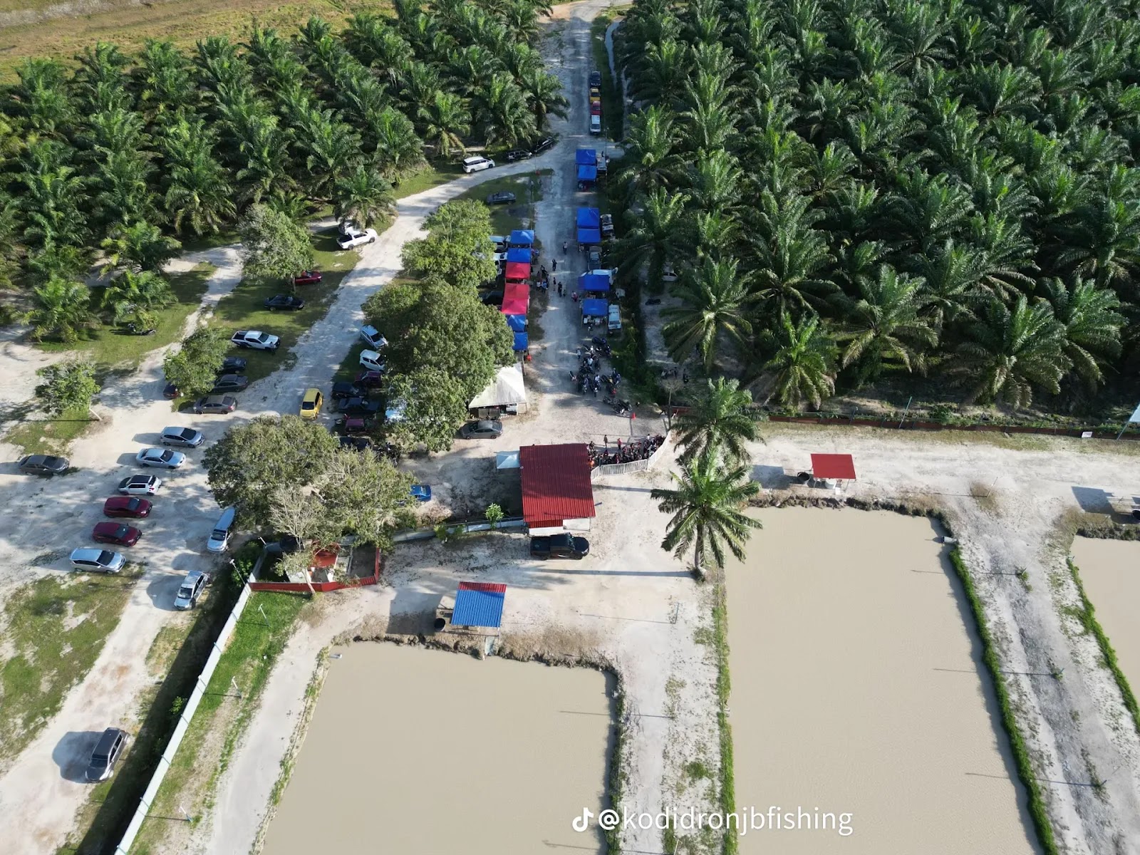 Kolam joran beranak.JB FISHING, kolam pancing di Kemaman, Terengganu (gambar 2)