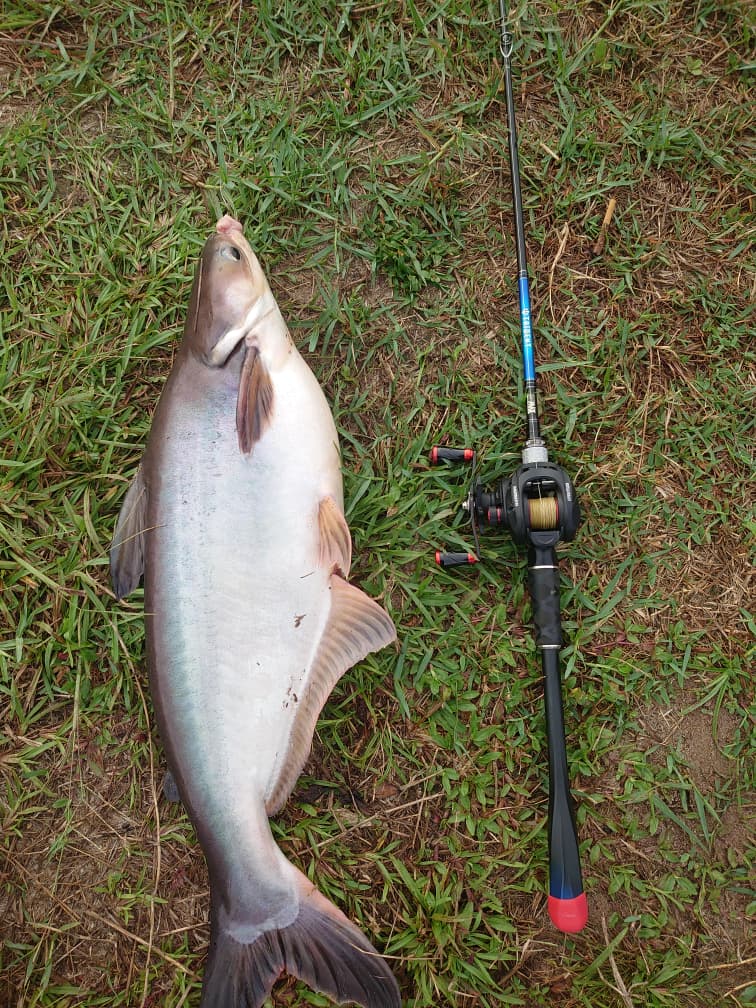 Kolam Pancing Ahhazz Global, fishing pond in Kampung Raja, Terengganu (photo 3)