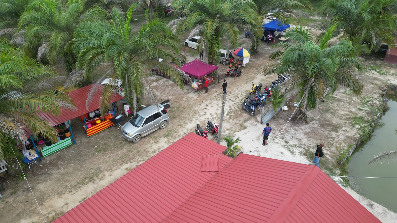Kolam pancing KELI HUNTER BINJAI FISHING KEMAMAN TERENGGANU