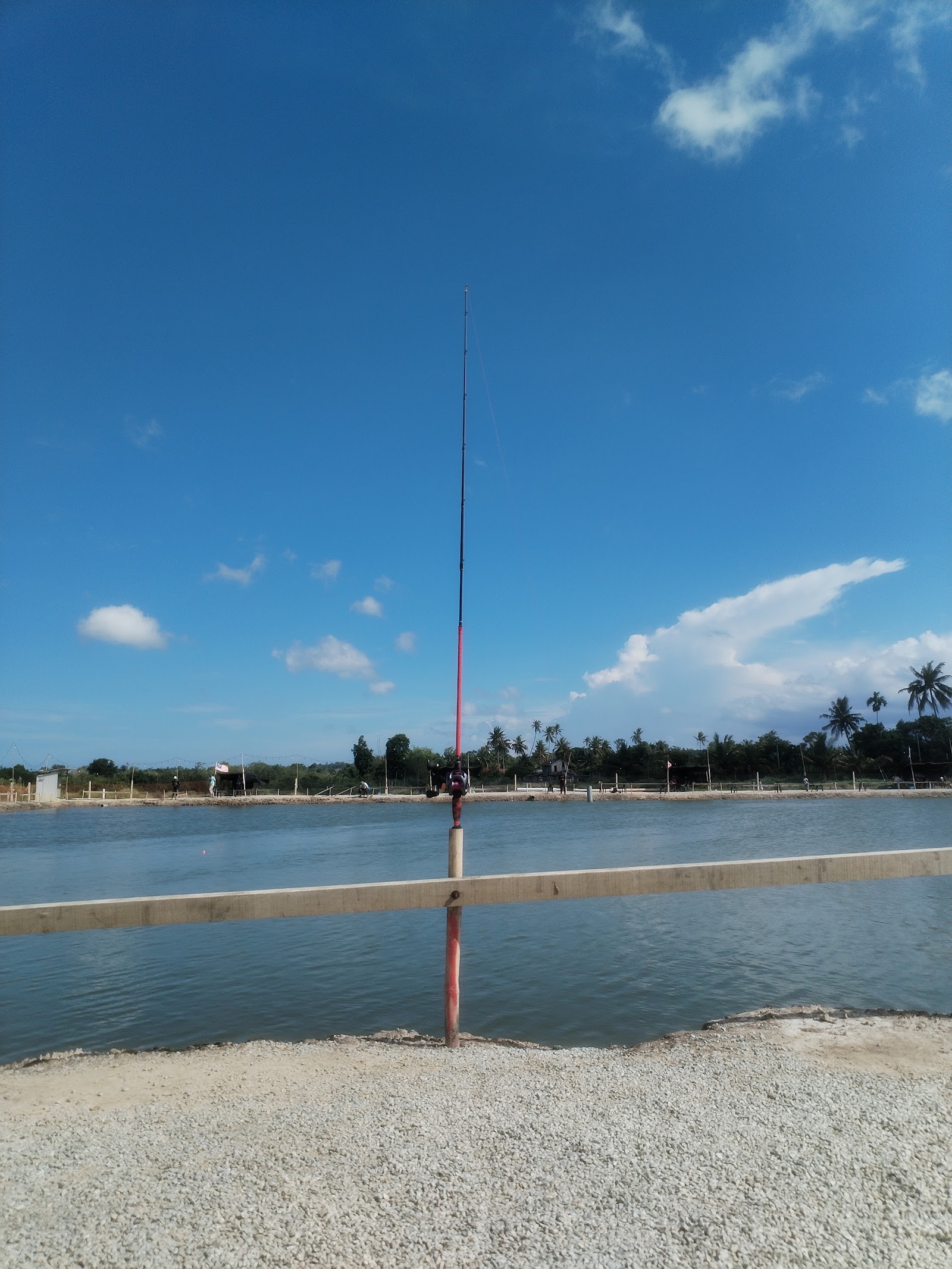 Kolam Pancing Sentul Patah, fishing pond in Marang, Terengganu (photo 3)