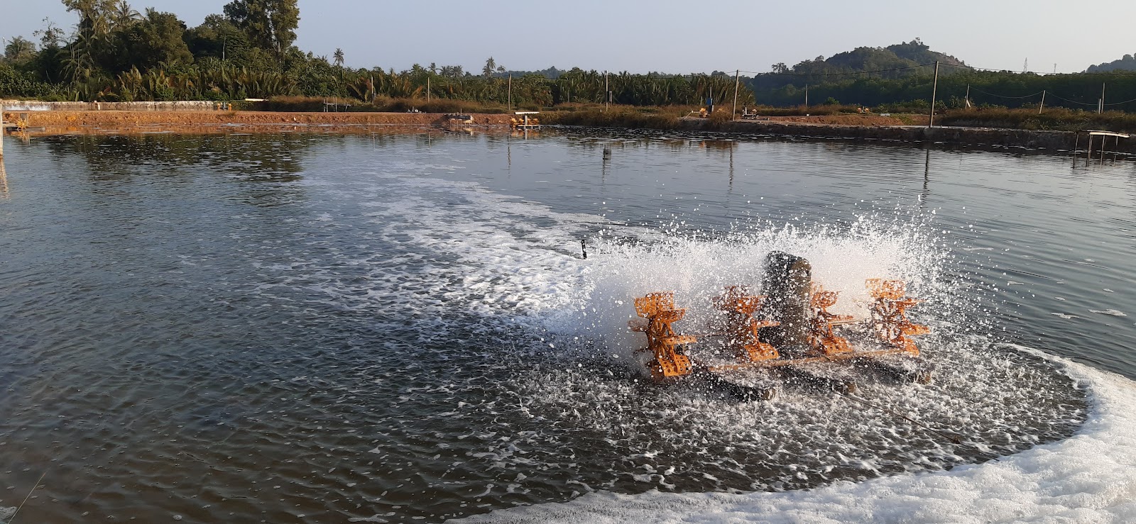 Kolam Haji Alwi, kolam pancing di Marang, Terengganu (gambar 2)
