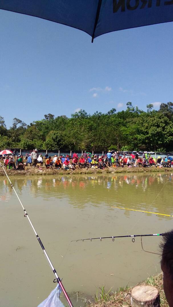 Kolam Memancing Pok Usop, fishing pond in Kuala Dungun, Terengganu (photo 2)