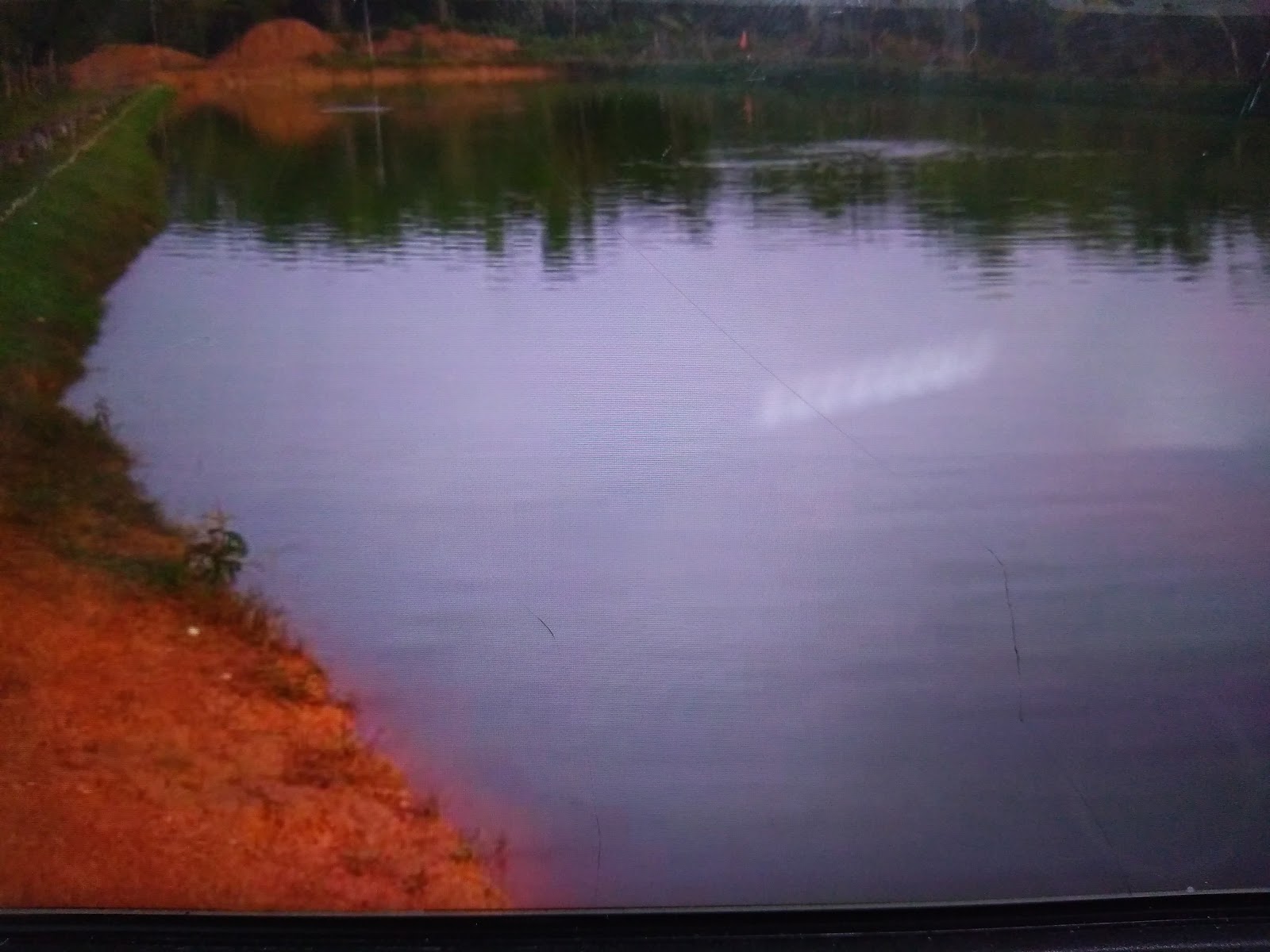 Kolam Pancing Pokta, fishing pond in Kuala Berang, Terengganu (photo 2)
