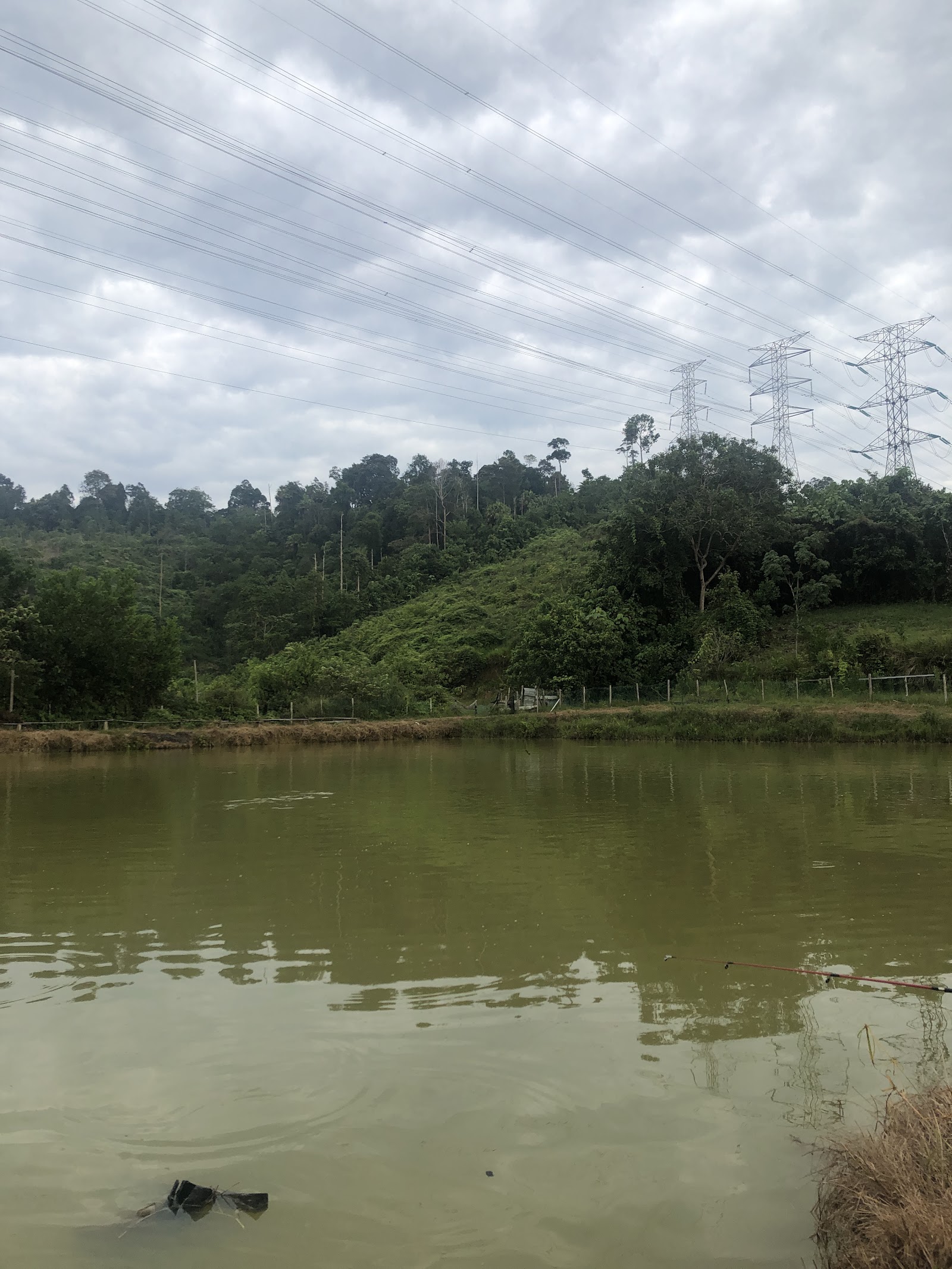 Kolam Ikan Pak Ali, fishing pond in Kerteh, Terengganu (photo 3)