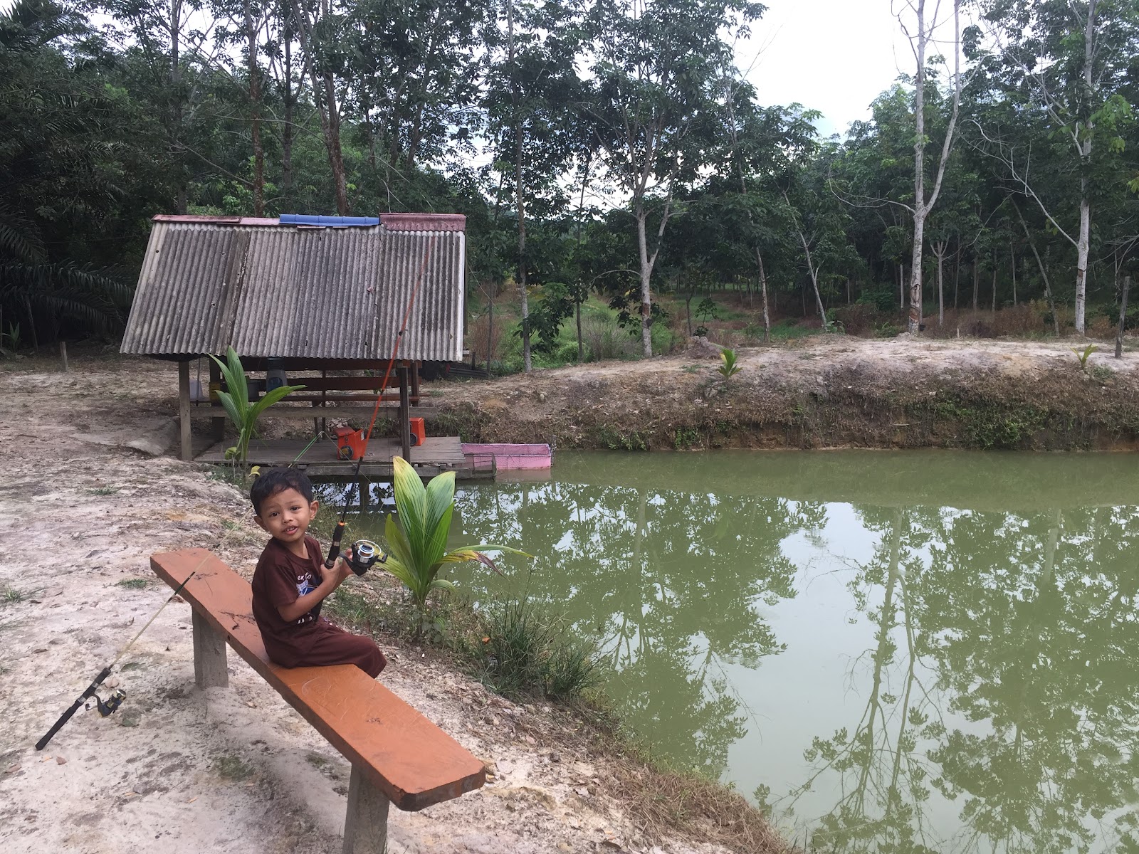 Kolam Pancing Nipah, fishing pond in Kemaman, Terengganu (photo 2)