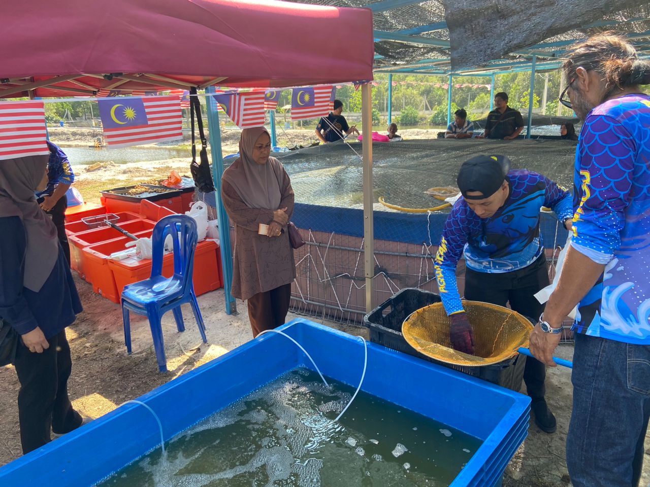 Projek Akuakultur PNK Kijal, kolam pancing di Kijal, Terengganu (gambar 3)