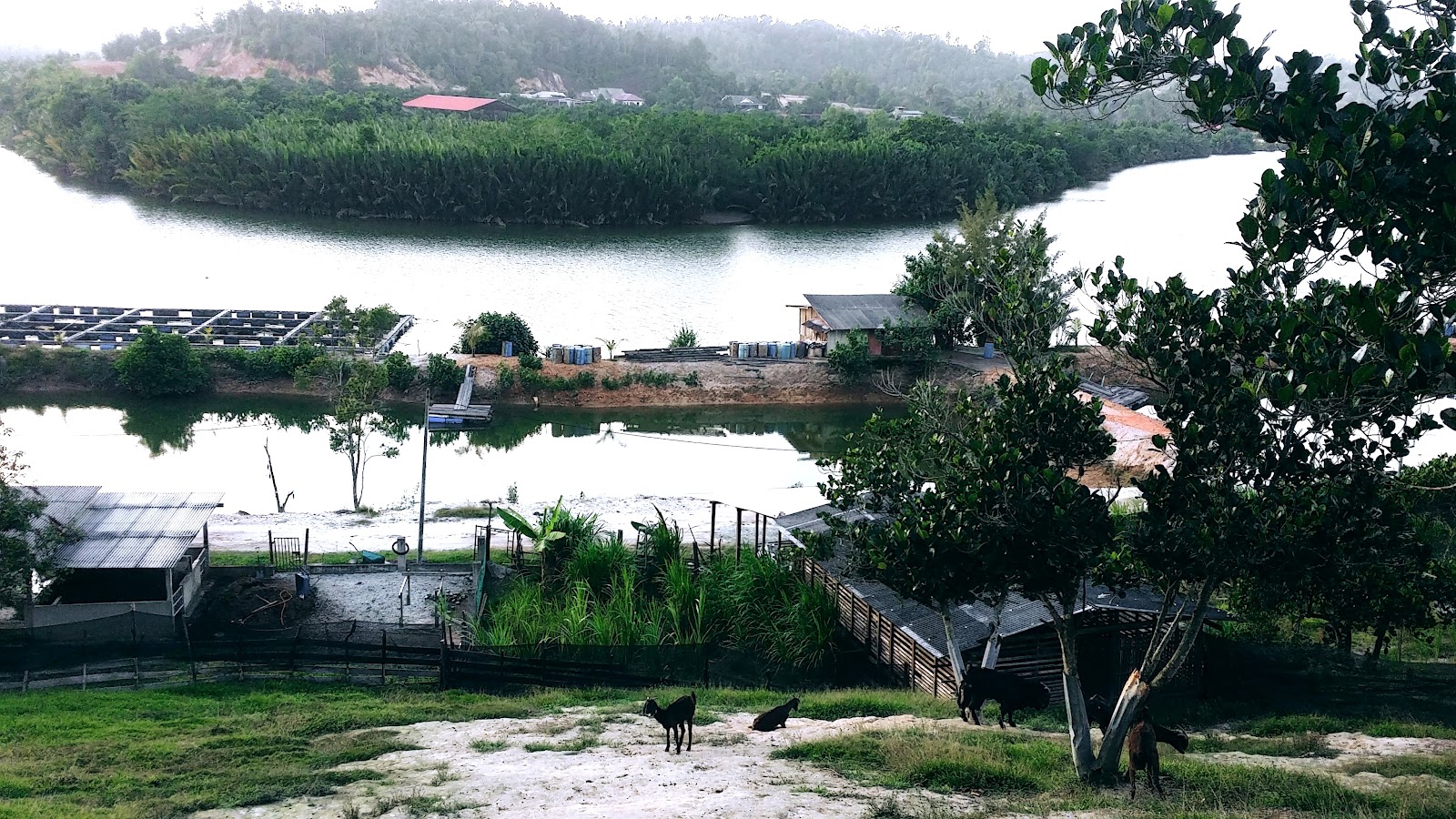 Kolam pancing HILLVIEW FARM Marang