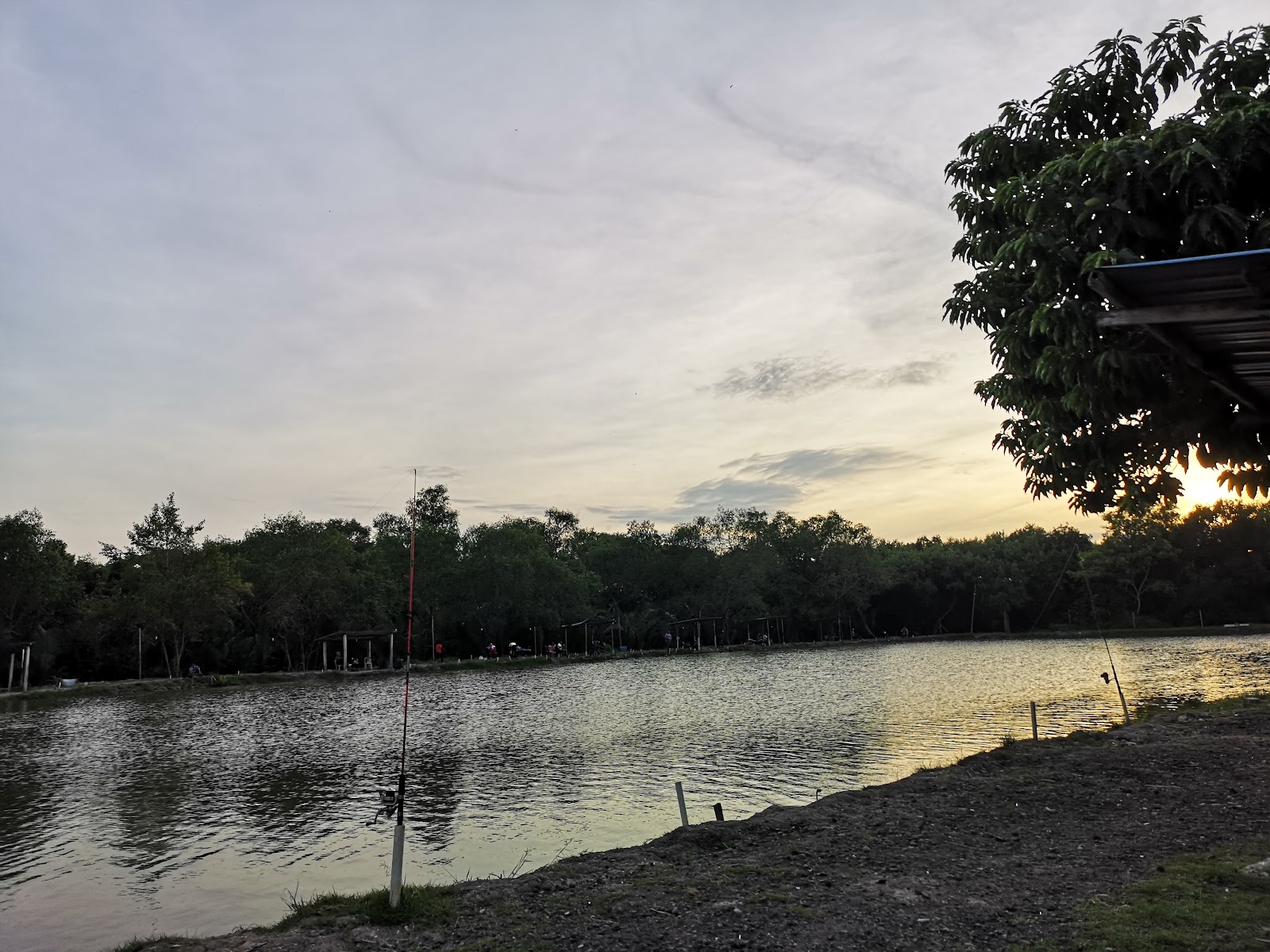Kolam Pancing Layang Utara (KBY), fishing pond in Kuala Kedah, Kedah (photo 2)