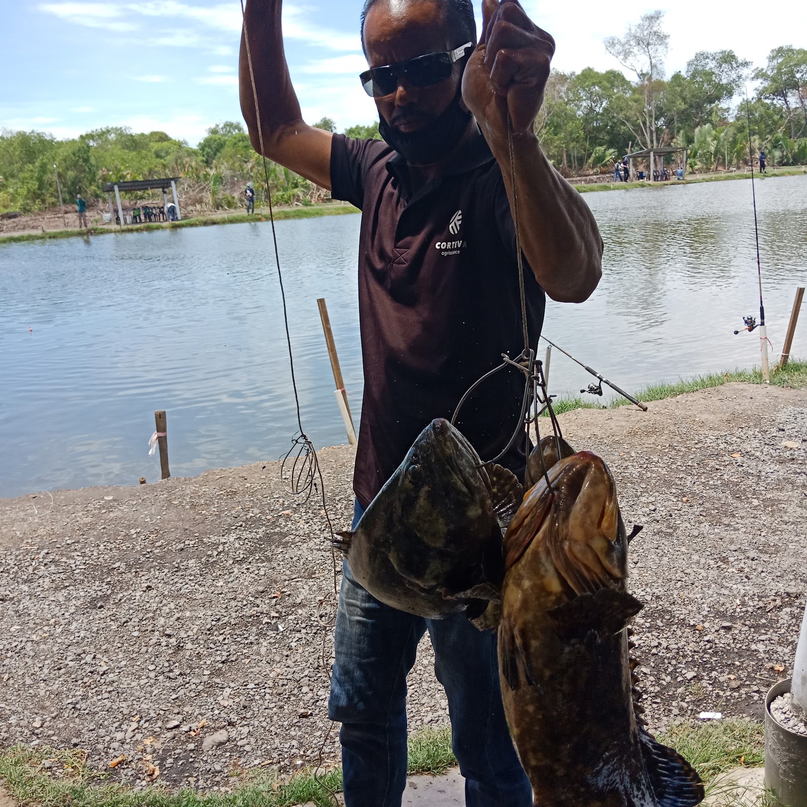 Kolam Pancing Layang Utara (KBY), fishing pond in Kuala Kedah, Kedah (photo 3)