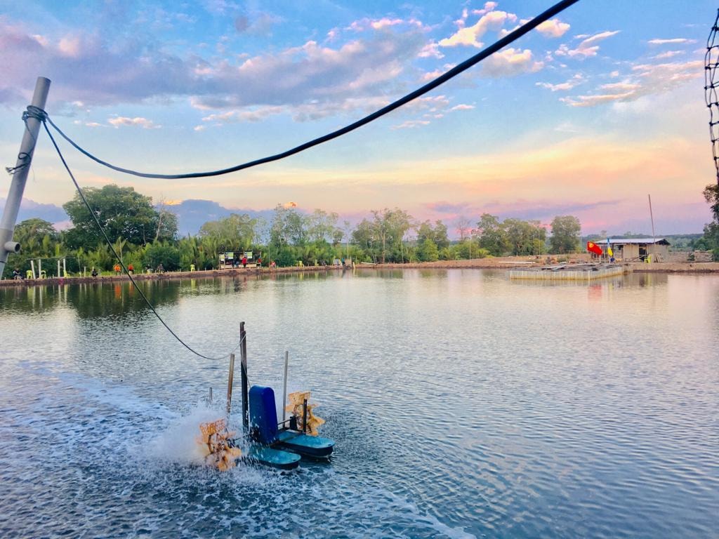 Kolam Pancing Tagan Baan, fishing pond in Sungai Petani, Kedah (photo 3)